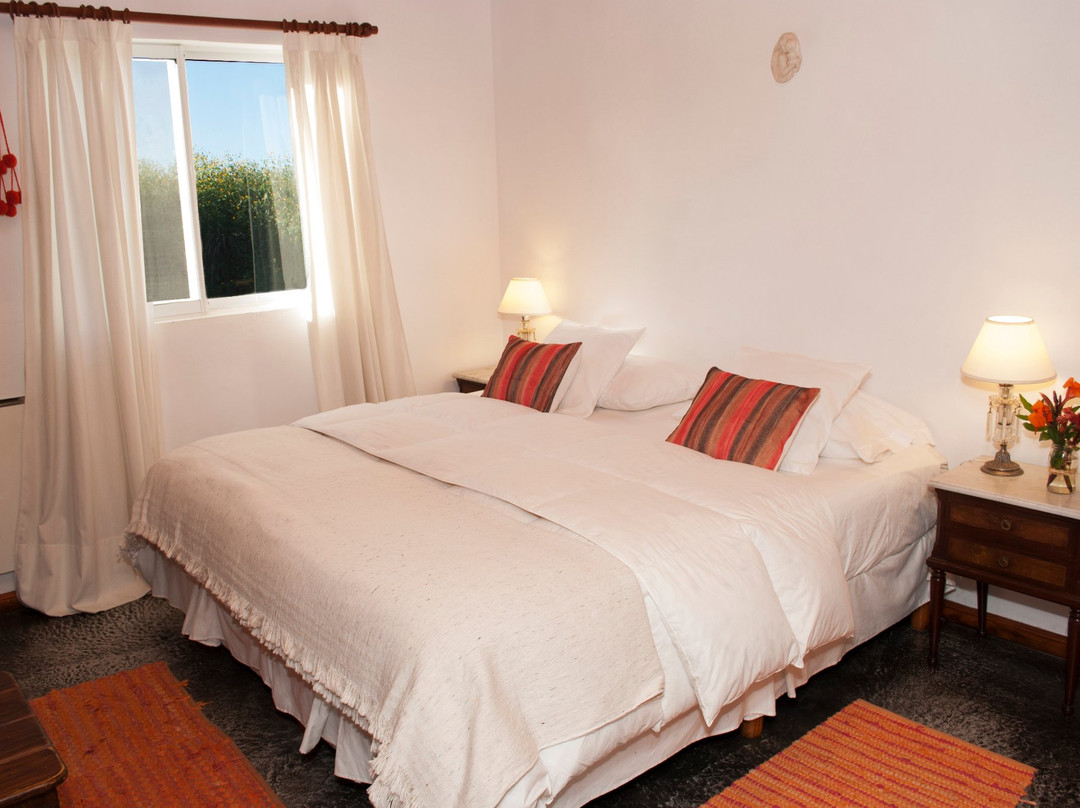 Finca La Vertiente de la Merced Chica主图