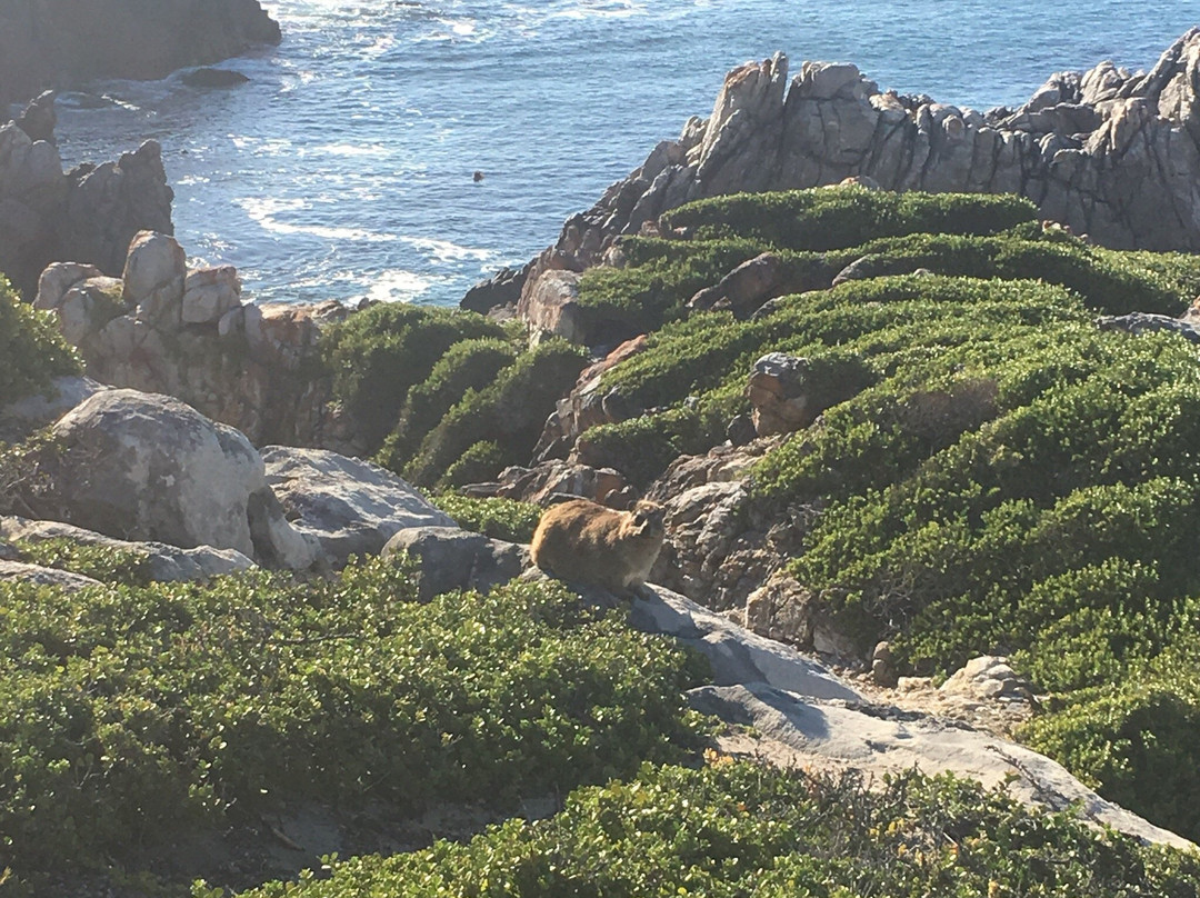 65onCliff Guest Lodge主图