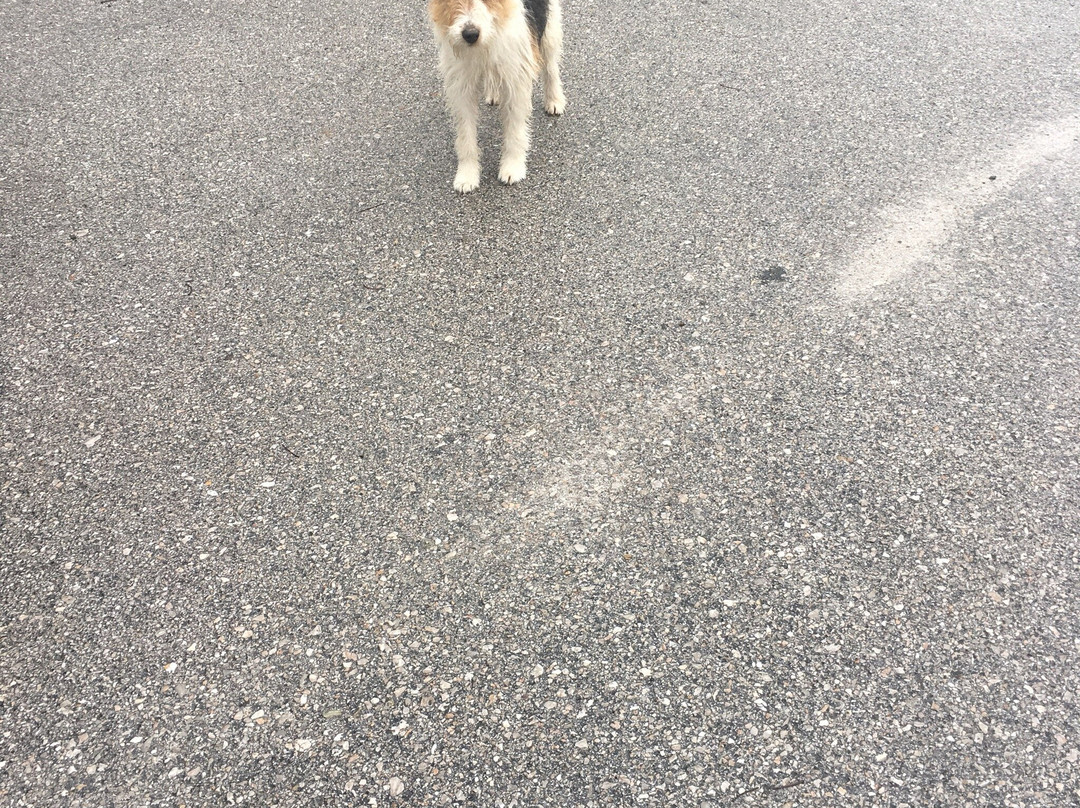 Villa Anthemia主图