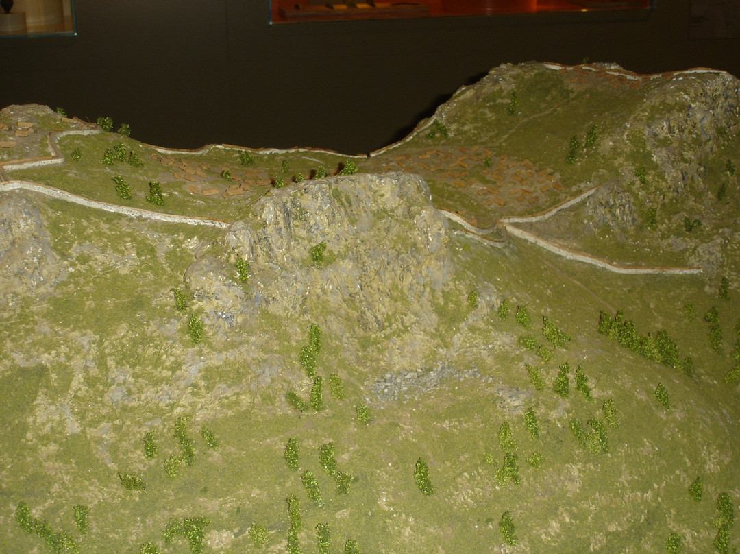 Kaiserpfalz Forchheim景点图片