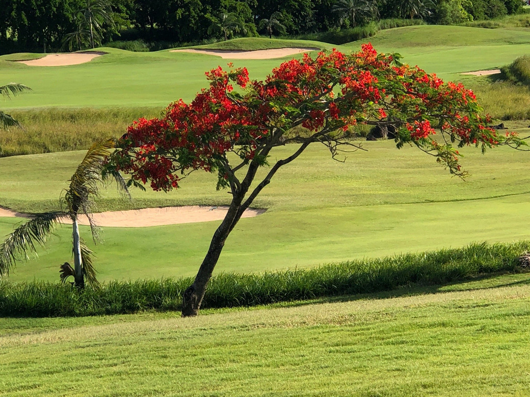 Awali Golf Club景点图片