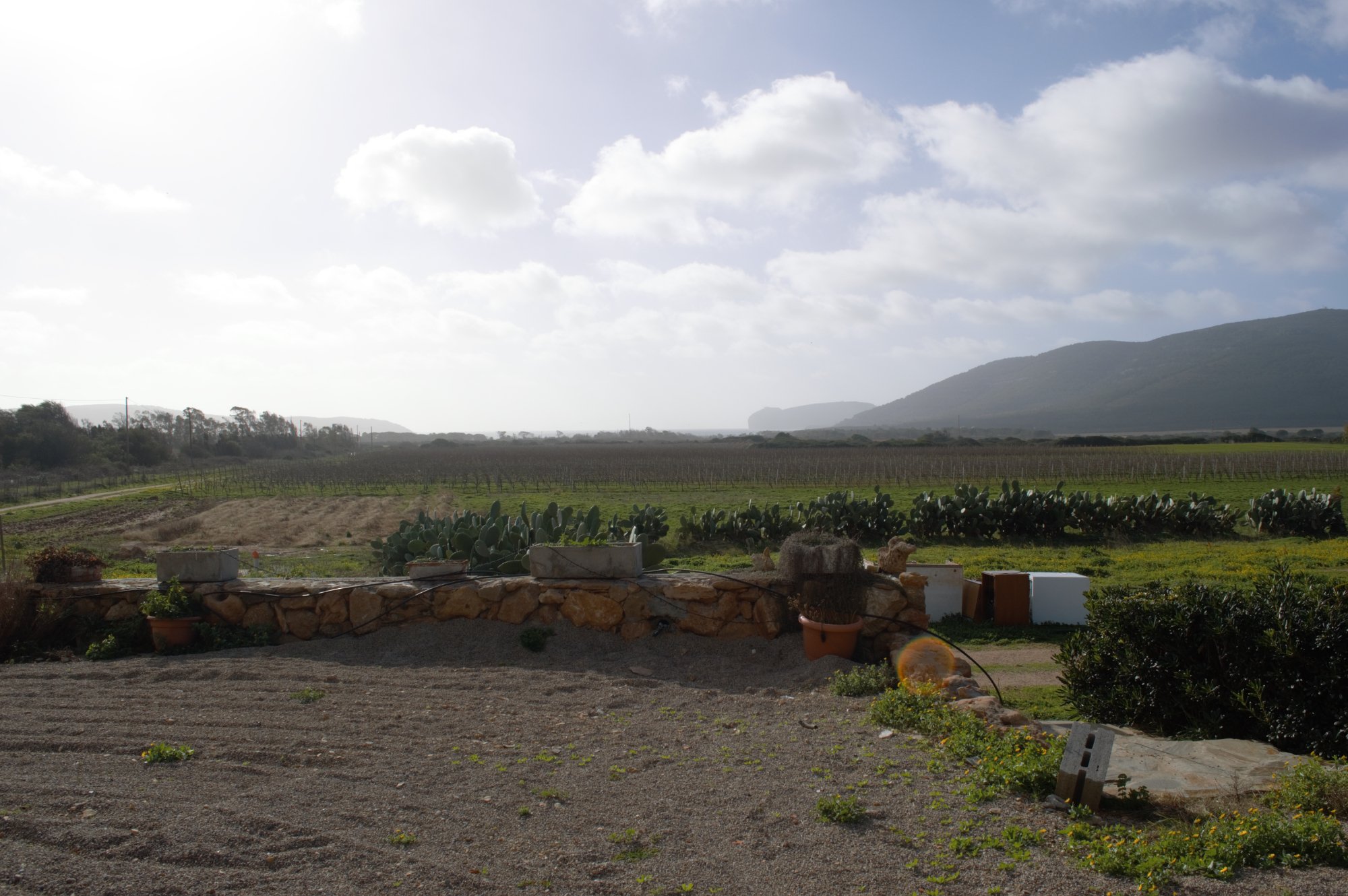 B&B da Pina-酒店景观