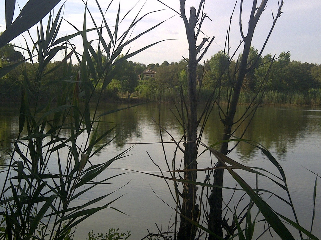Podere Marella-Castiglione del Lago必去景点