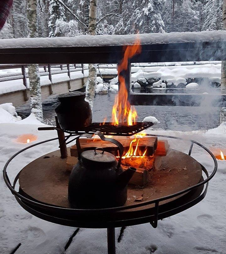 Wild Taiga Finland景点图片