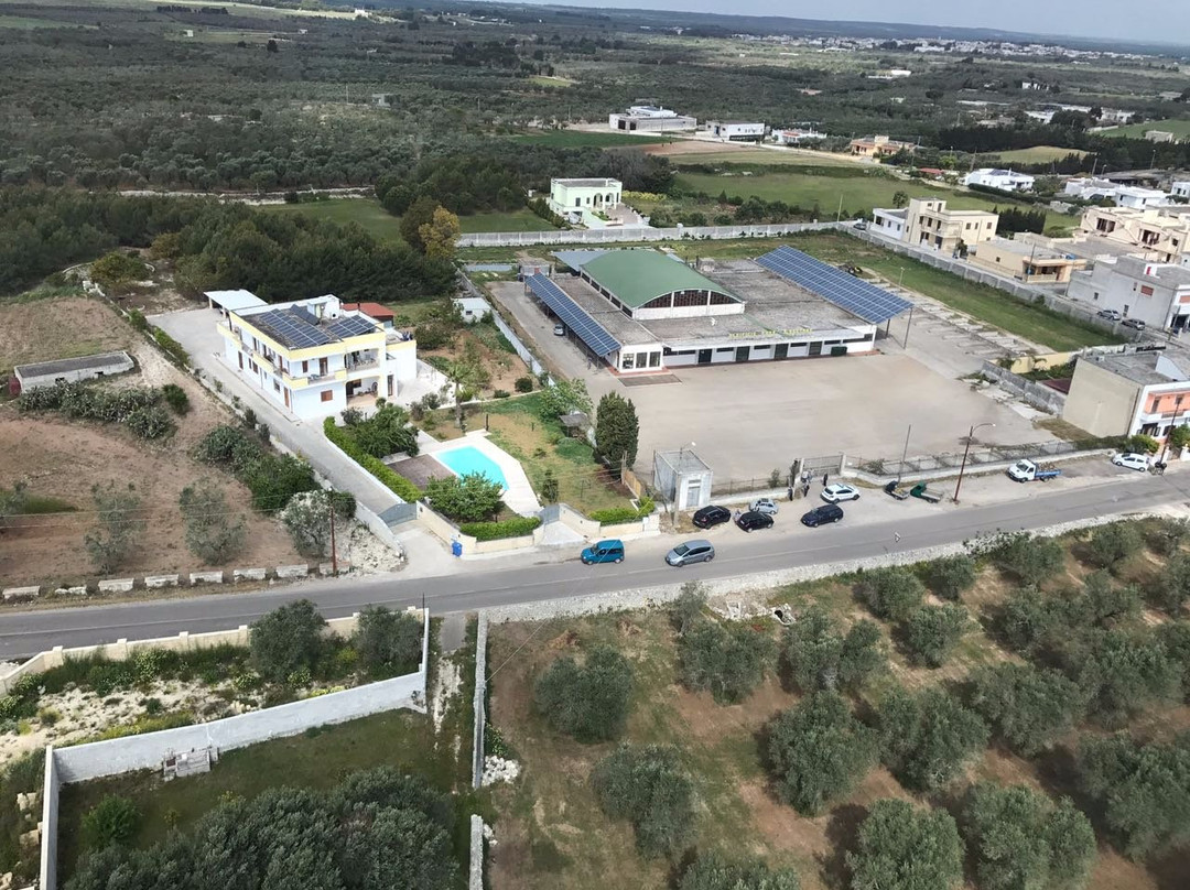 Oleificio Cooperativo San Gaetano