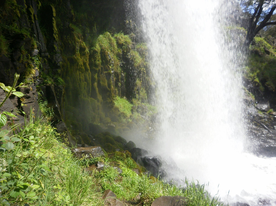 Paddys River Falls景点图片