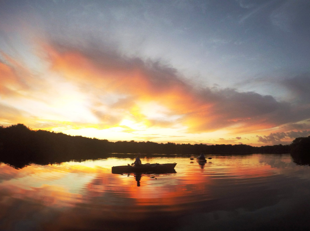 Tour The Glades - Private Wildlife Tours-大沼泽地必去景点