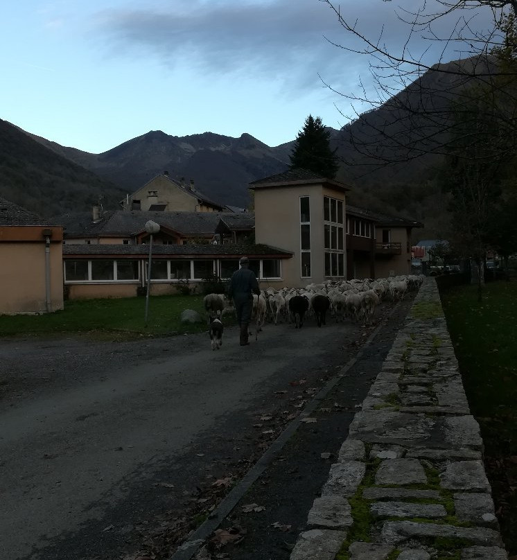 Thermes d'Aulus les Bains景点图片
