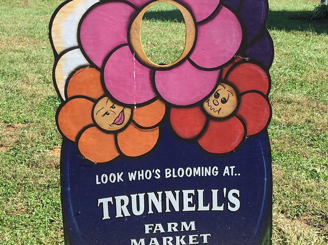 Trunnell's Farm Market & Family Fun Acre景点图片