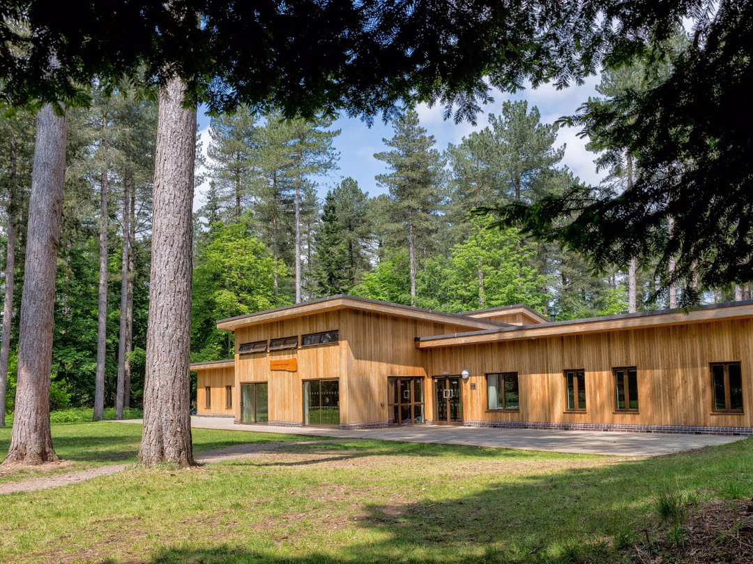 Thorpe Woodlands Adventure Centre景点图片