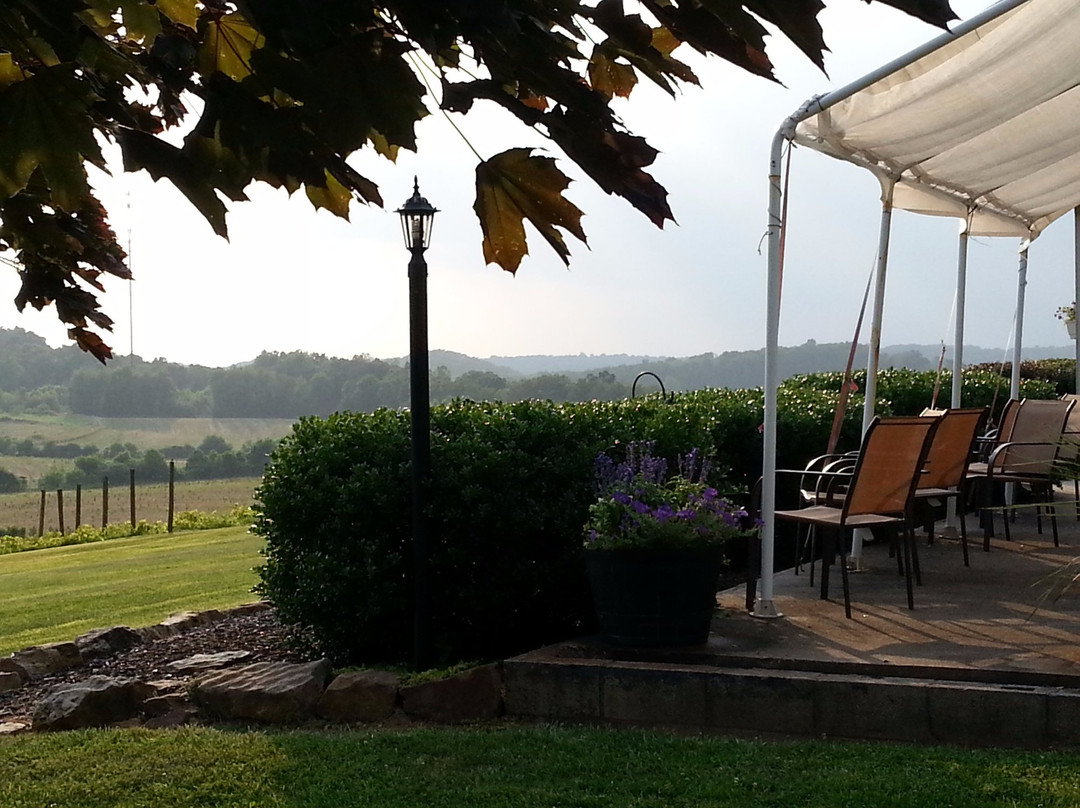 Winzerwald  Winery景点图片