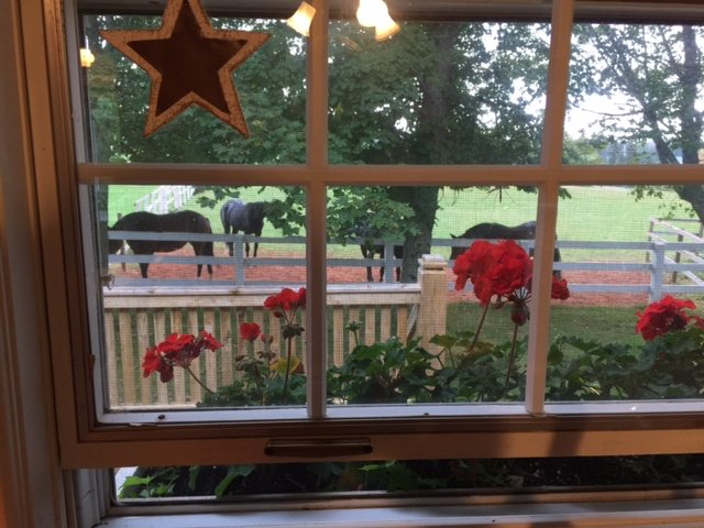 Ridgewind Farm Bed & Breakfast-酒店景观