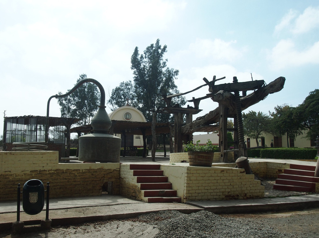 Bodegas Vista Alegre-伊卡必去景点