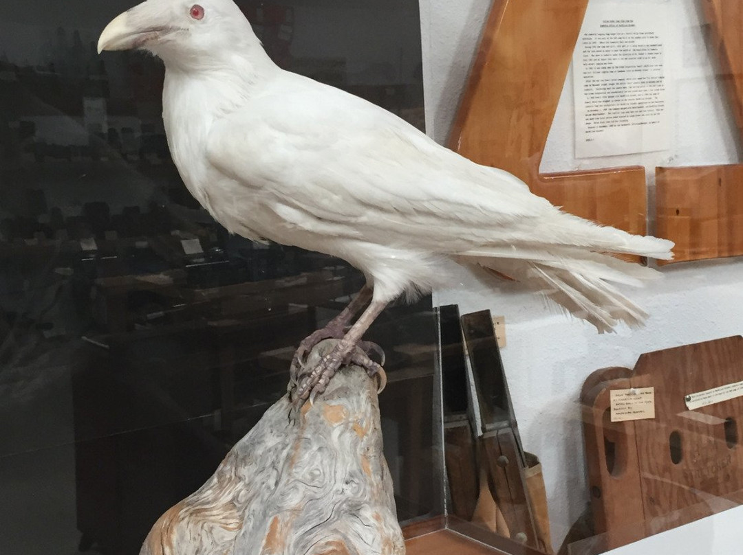 Port Clements Museum-Port Clements必去景点