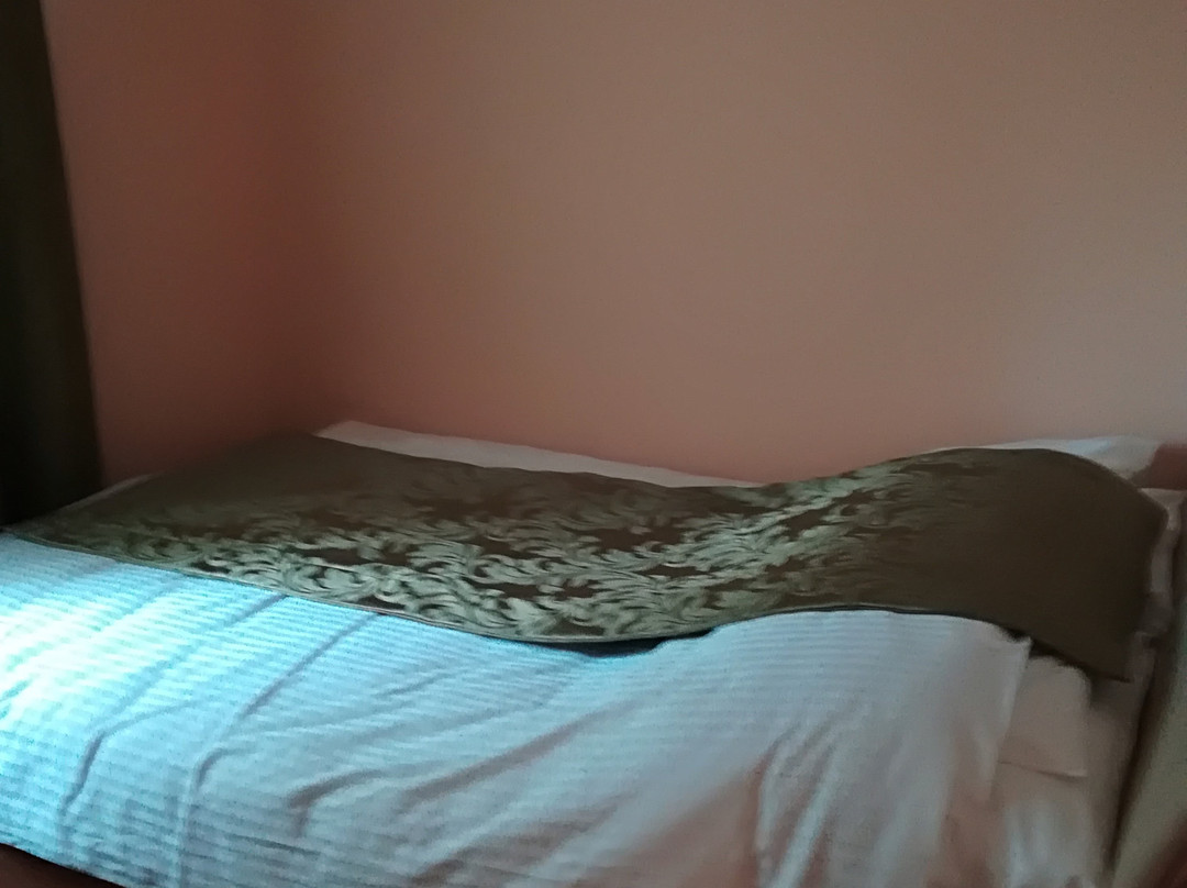 Vila Demetrovic主图