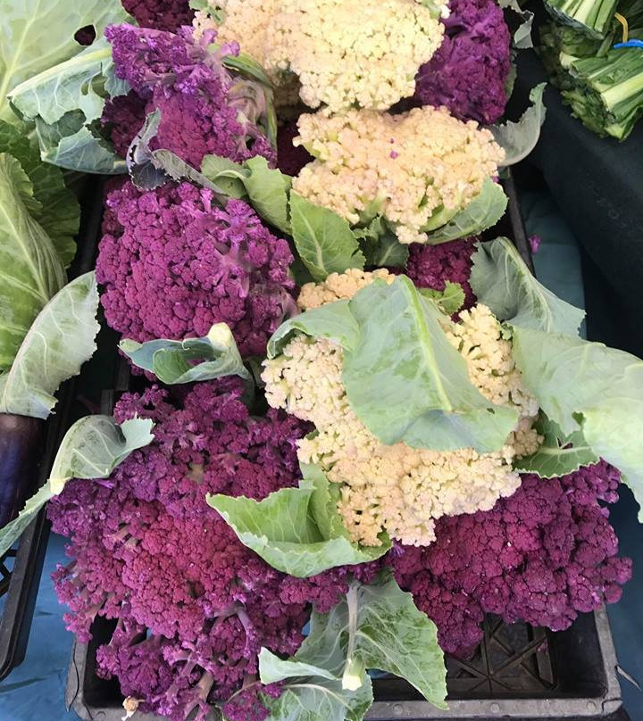 Forest Grove Farmers Market-Forest Grove必去景点