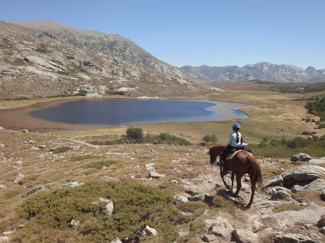 Ranch u Niolu a Cavallu景点图片