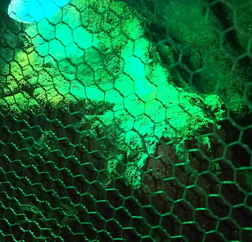 Mitsugo Limestone Cave-秋留野市必去景点