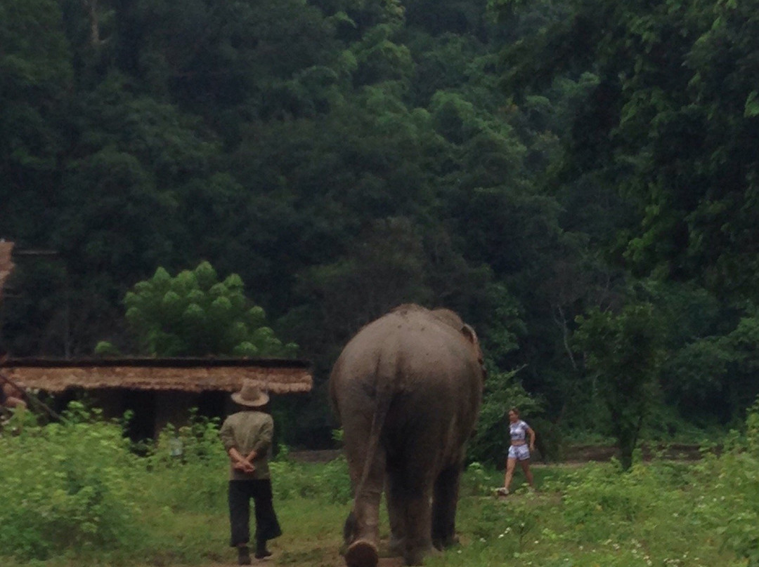 Mayrin Elephant Family Camp-夜登必去景点