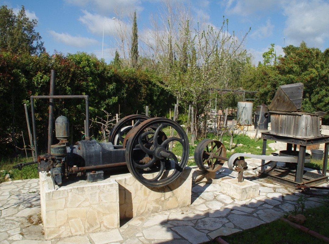 Eleouthkia Traditional and Botanical Park-帕福斯必去景点