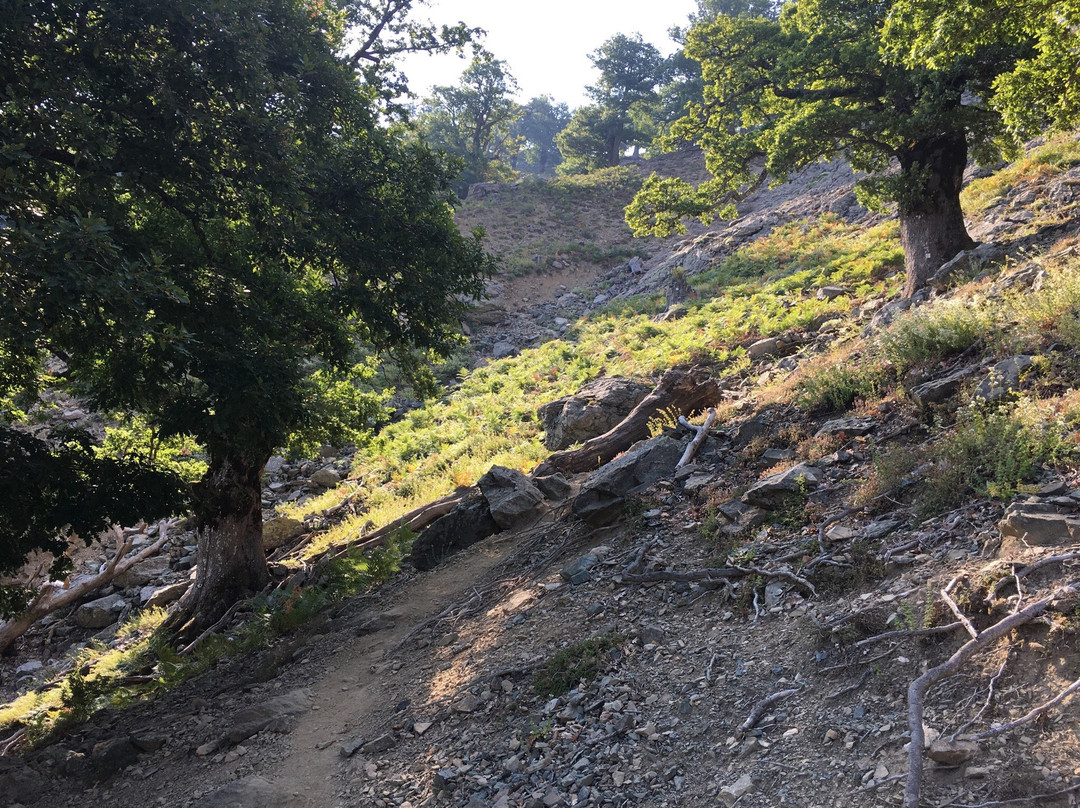 Mount Saos-Samothráki必去景点