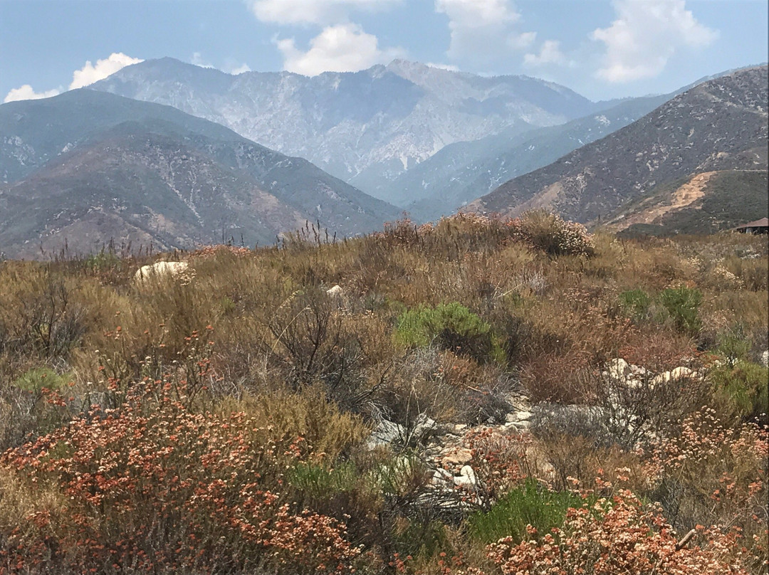 North Etiwanda Preserve景点图片