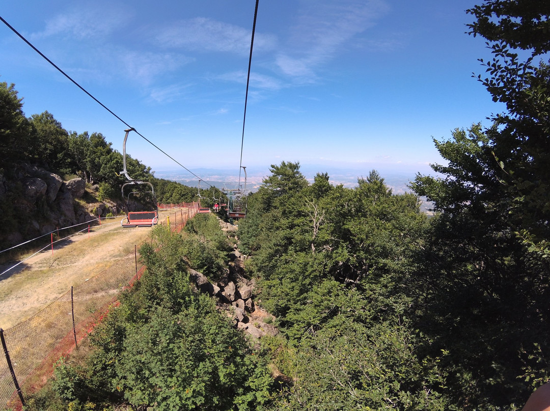 Monte Amiata Wildlife Park景点图片