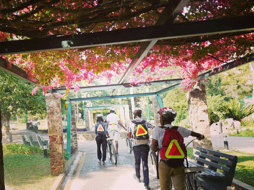 Bike & Saddle Trips-马布多必去景点