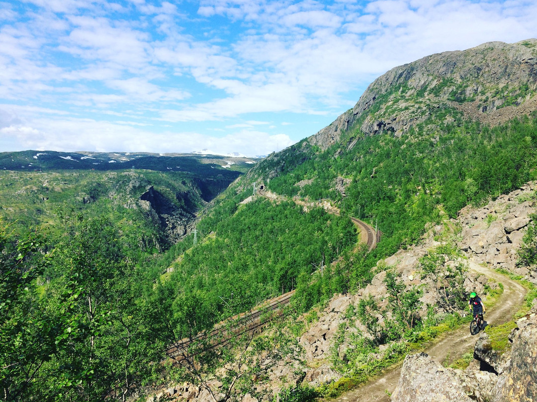 Wild North Adventures景点图片