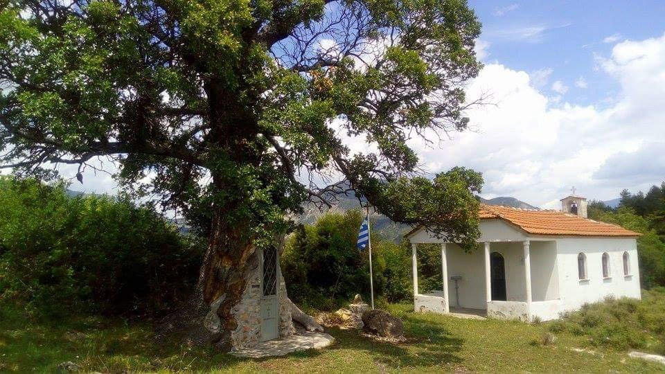 Tree Chapel Saint Paissiou-Agia Varvara必去景点