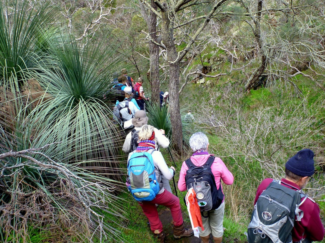 Walks With Nature-维克多港必去景点