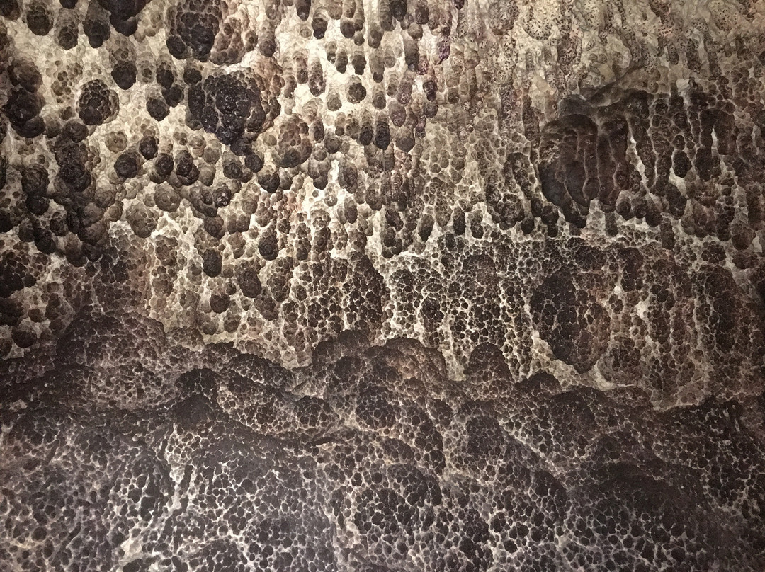 Brauerei Blank Gastehaus主图