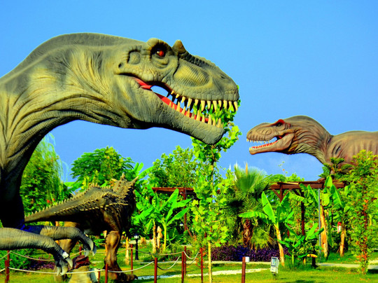 Discovery Park-Ilica必去景点