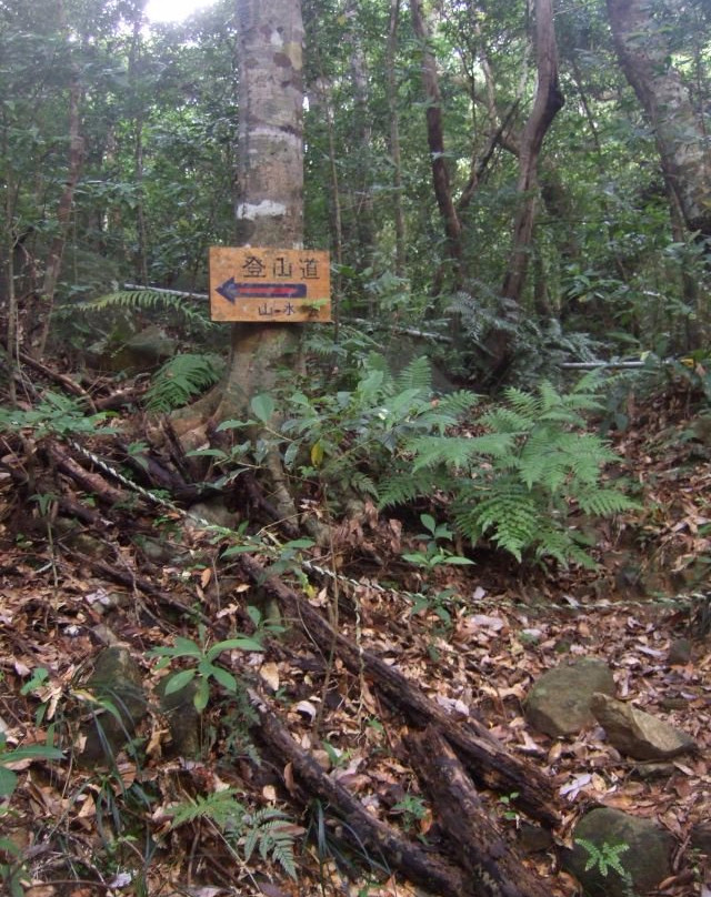 Mt.Omoto景点图片