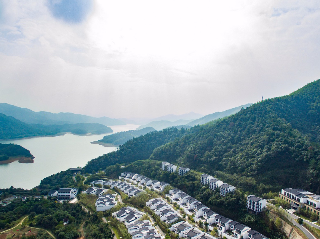 阿丽拉安吉