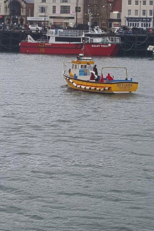 Skylark Coastal Cruises景点图片