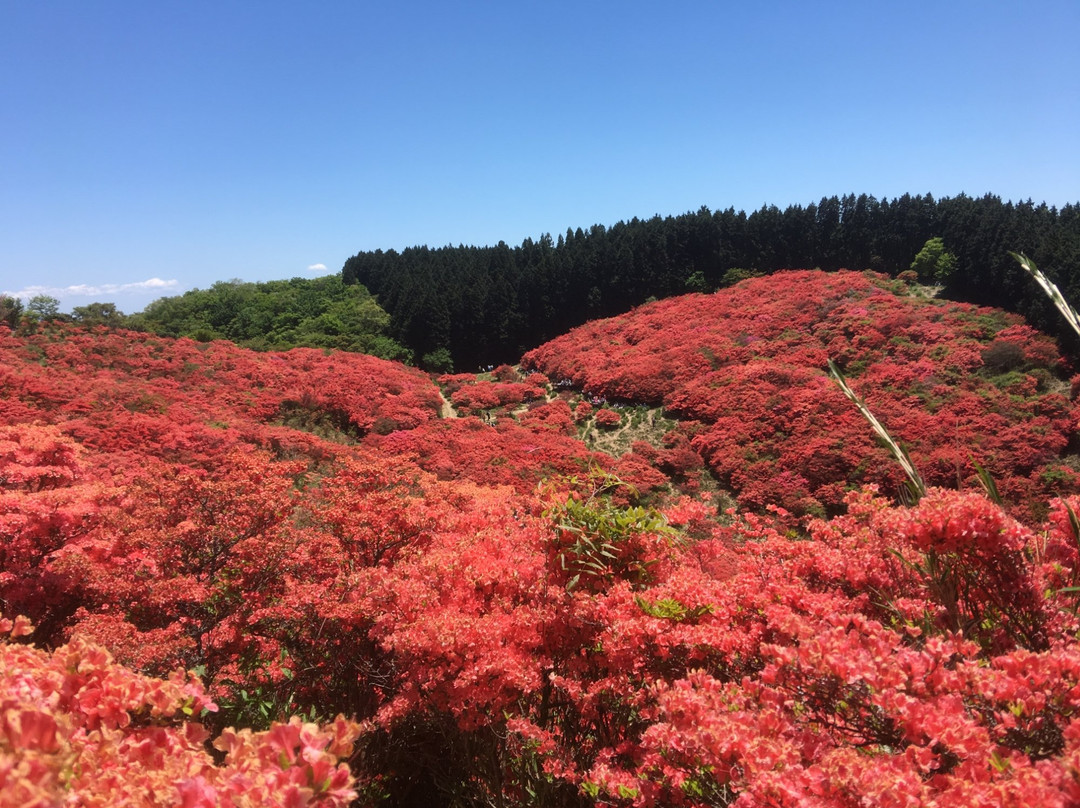 Katsuragi Sanroku Park景点图片