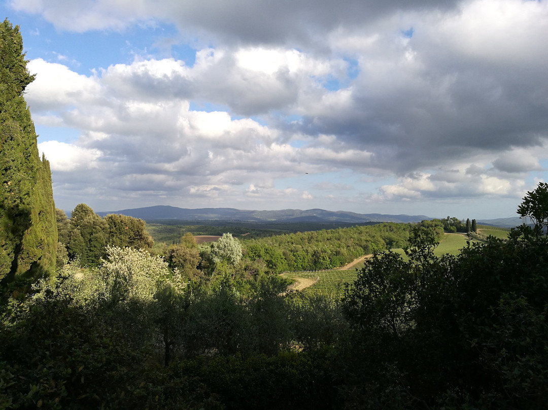 Fattoria il Palagio景点图片