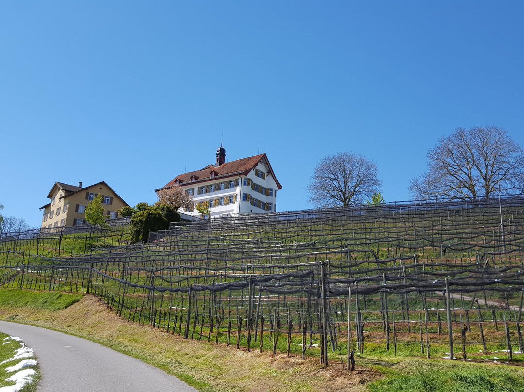 Schloss Dottenwil景点图片