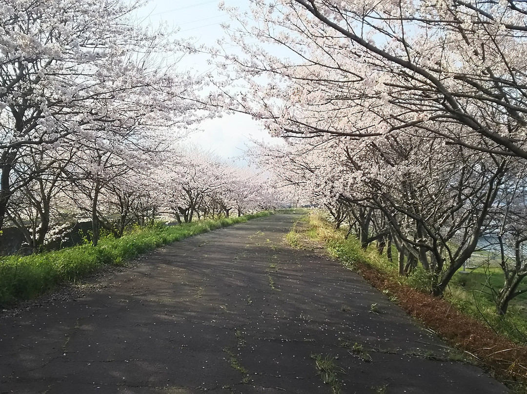 Oshimazutsumi Cycling Road-大垣市必去景点