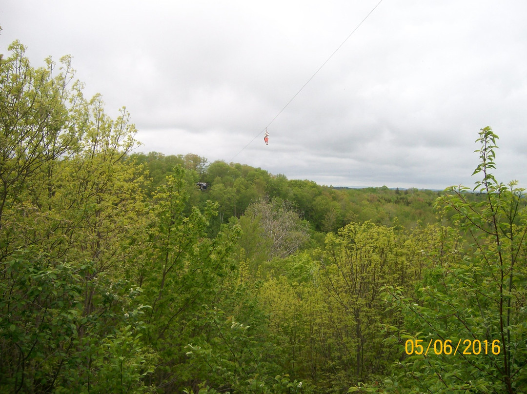 Anchors Above Zipline-新斯科舍必去景点