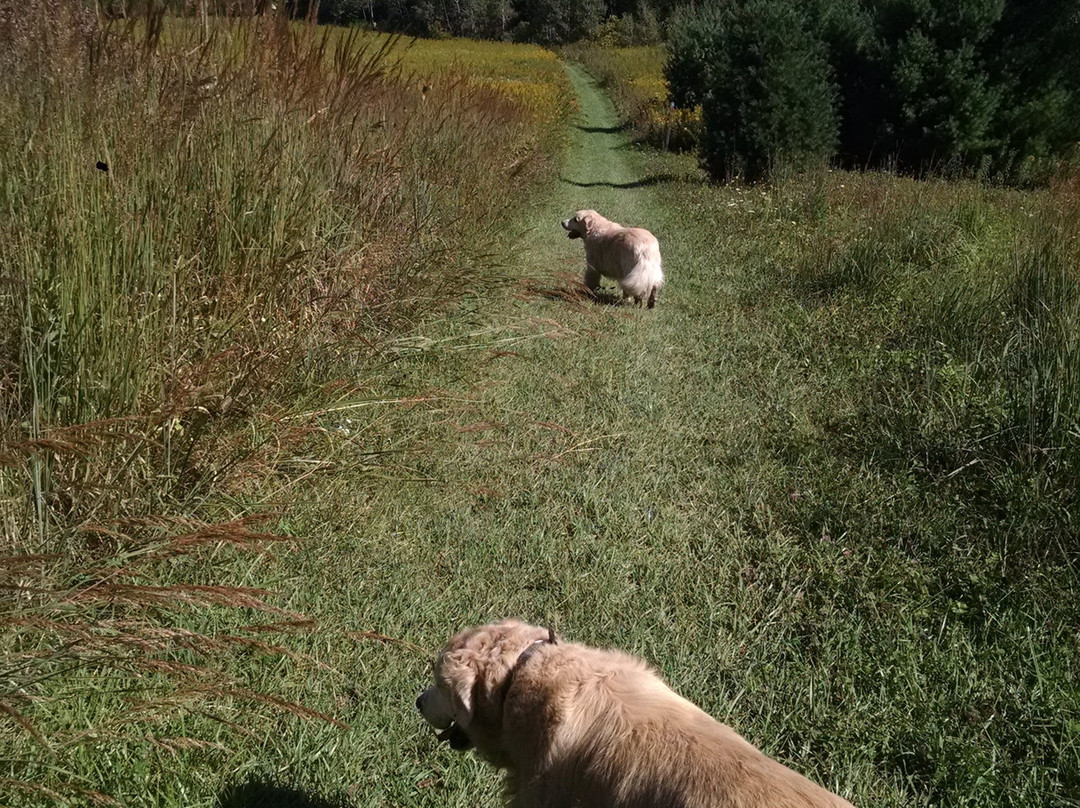 George Wyth State Park-Waterloo必去景点