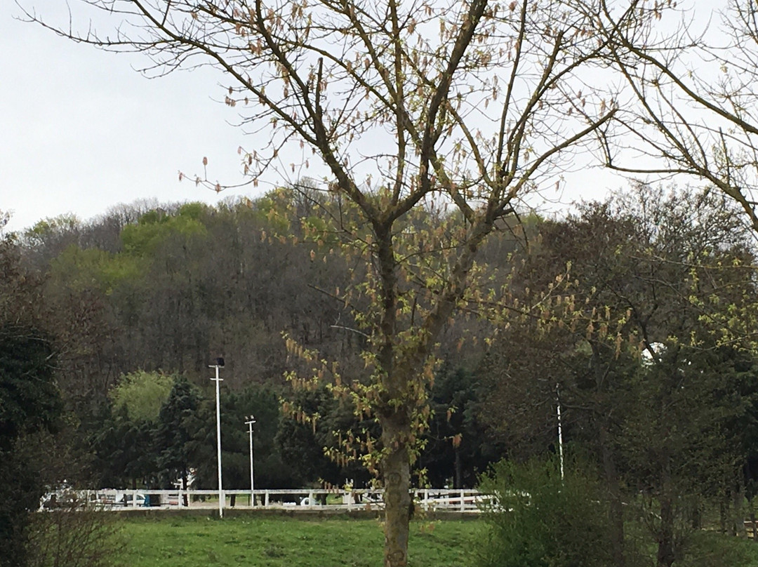 Göçmen's Ranch-伊斯坦布尔必去景点