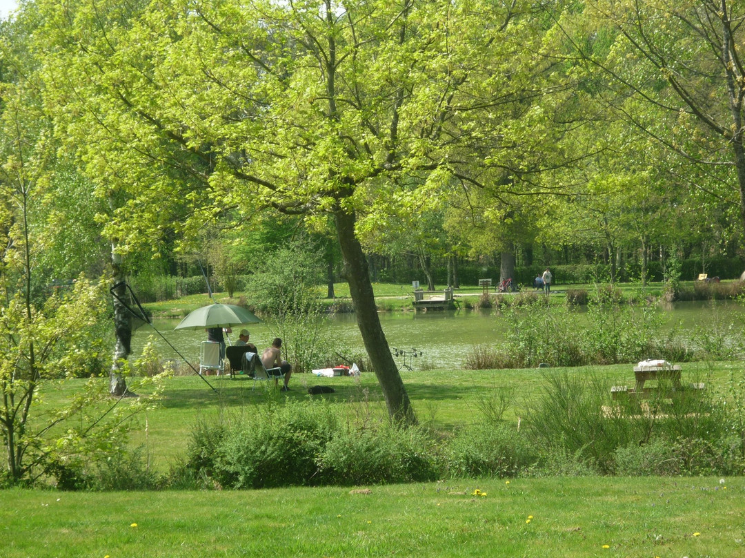 Camping Base de Loisirs La Nizière