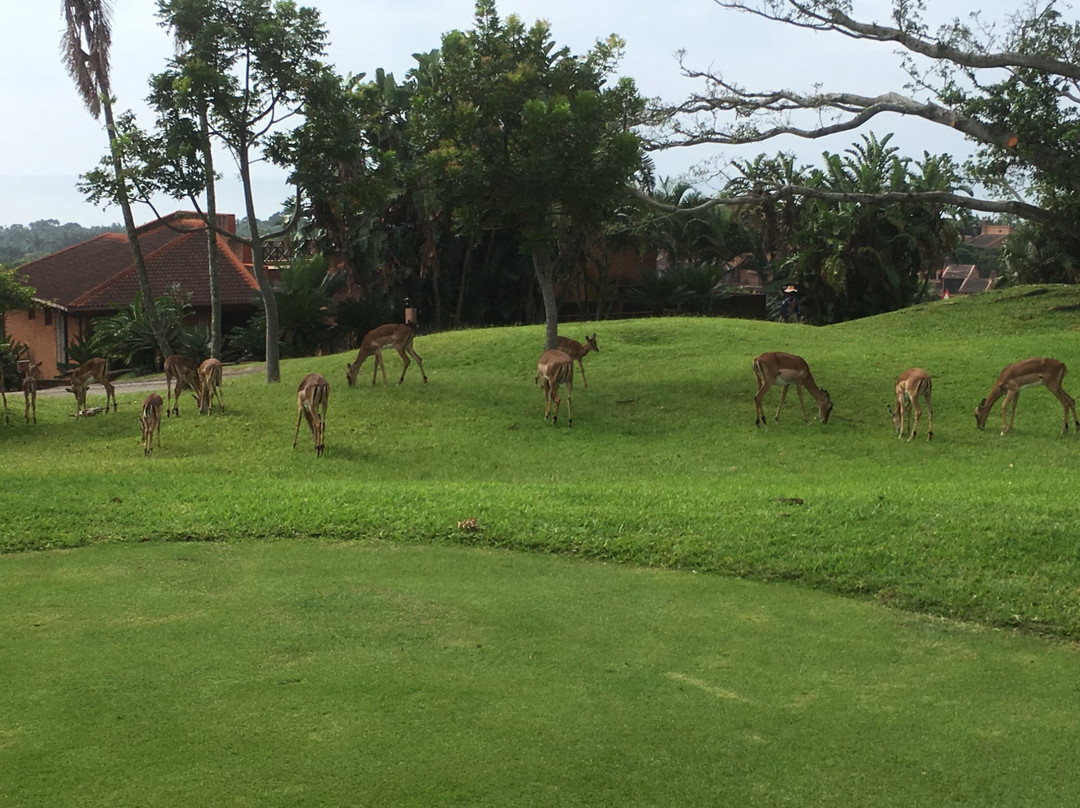 San Lameer Golf Course-Marina Beach必去景点