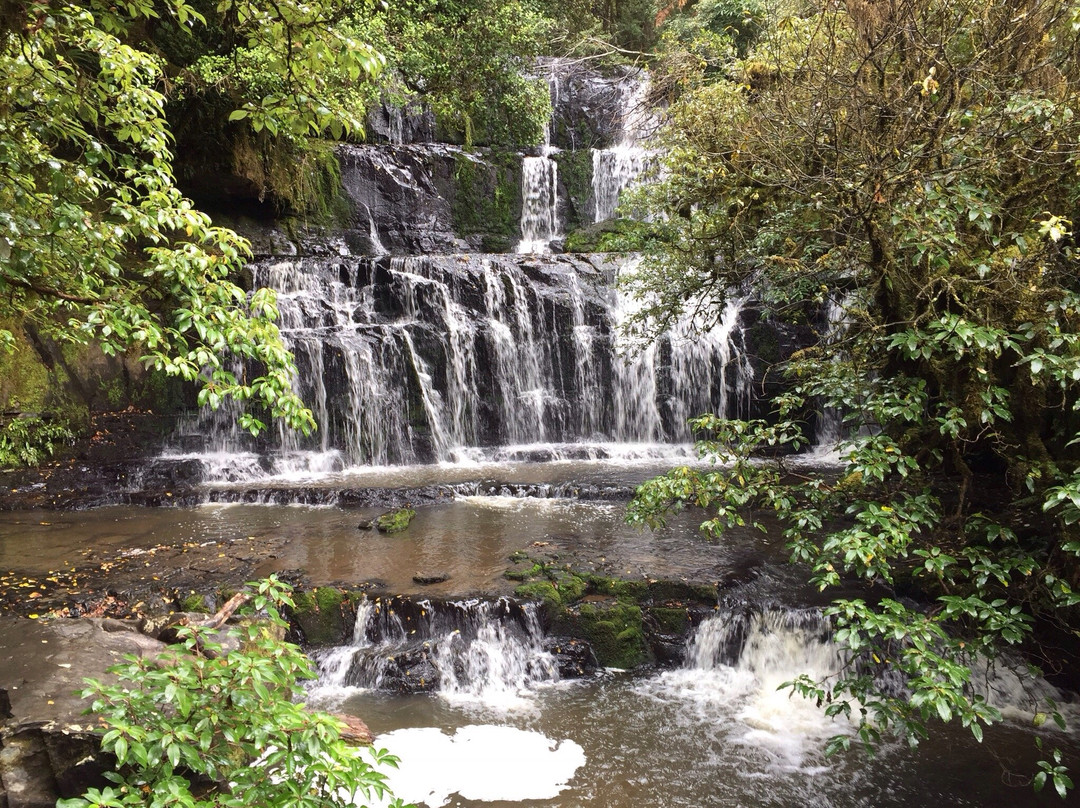Matai Falls Walk景点图片