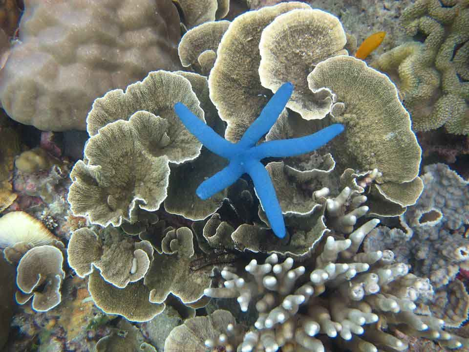 The Happinezz Tours Karimunjawa-卡里蒙加瓦必去景点