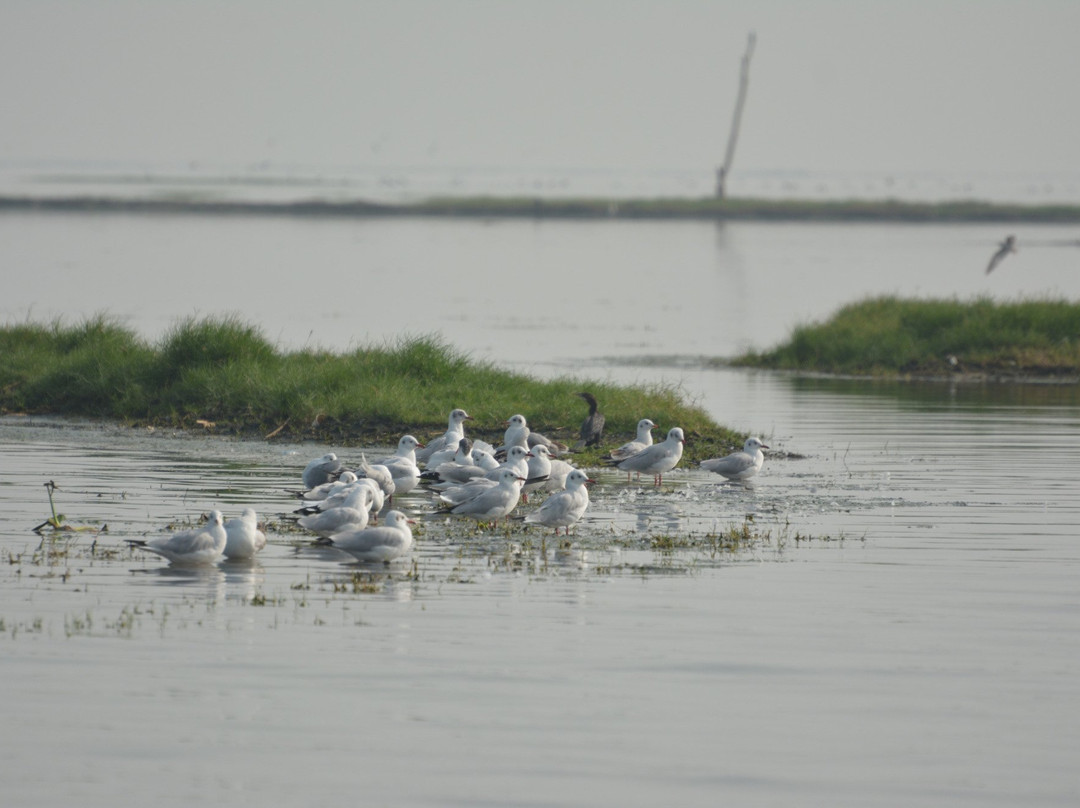 Nalabana Bird Sanctuary
