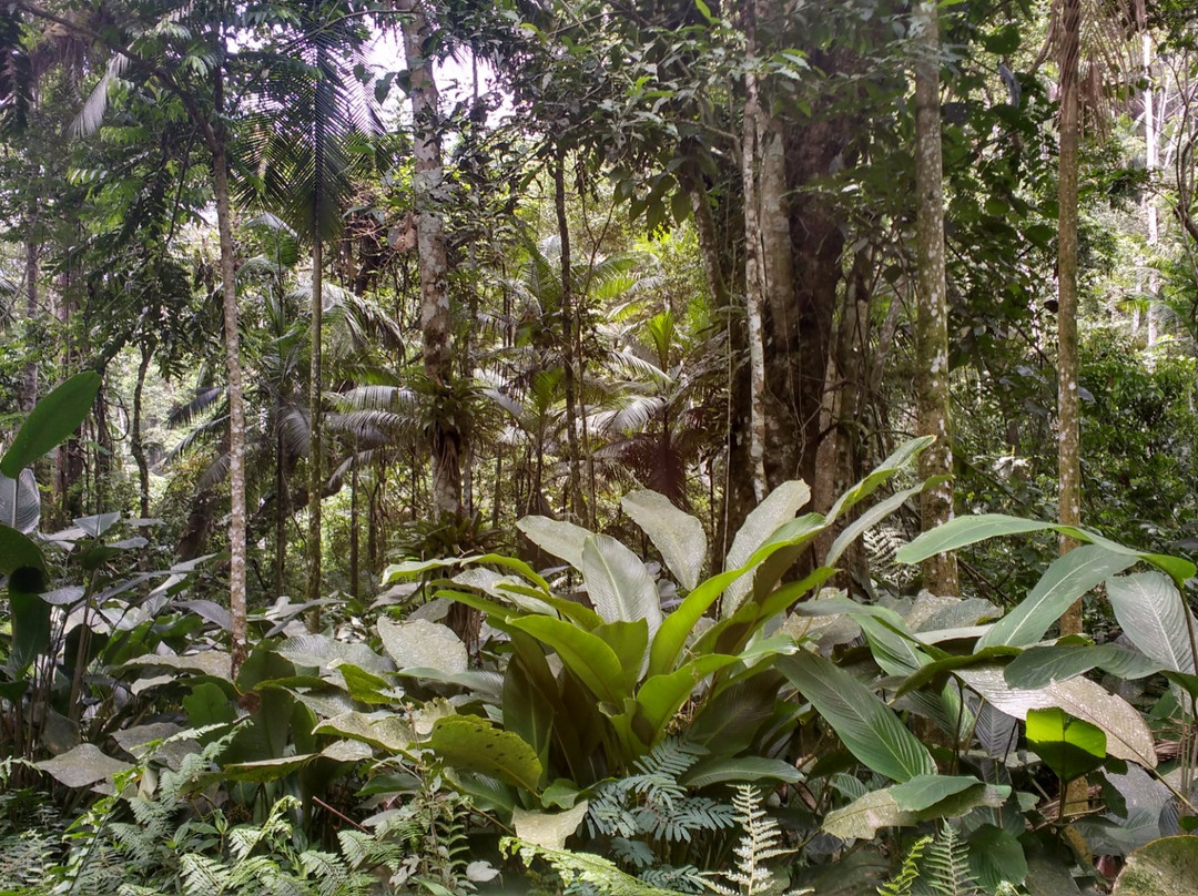 Parque Natural Municipal do Trabiju-Pindamonhangaba必去景点