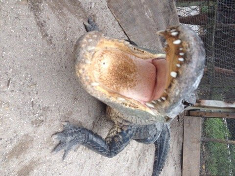 Under The Sun Tours-庞帕诺比奇必去景点